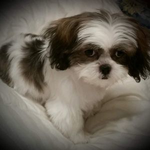 Meet your Posher, Vickie